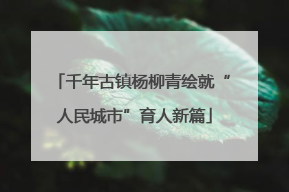 千年古镇杨柳青绘就“人民城市”育人新篇