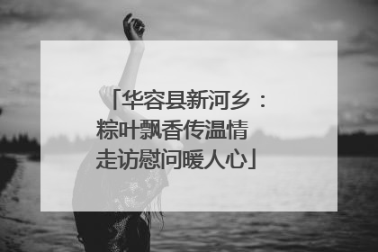 华容县新河乡：粽叶飘香传温情 走访慰问暖人心