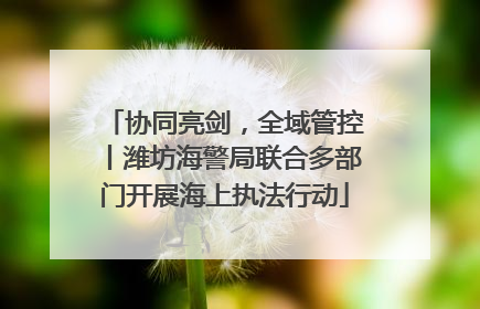 协同亮剑，全域管控丨潍坊海警局联合多部门开展海上执法行动