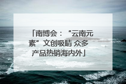 南博会：“云南元素”文创吸睛 众多产品热销海内外