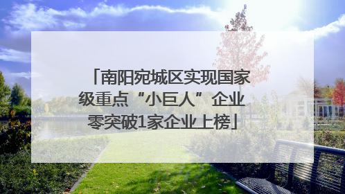 南阳宛城区实现国家级重点“小巨人”企业零突破1家企业上榜