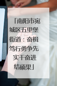 南阳市宛城区五里堡街道：奋楫笃行勇争先 实干奋进结硕果