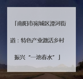 南阳市宛城区溧河街道：特色产业激活乡村振兴“一池春水”