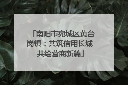 南阳市宛城区黄台岗镇：共筑信用长城 共绘营商新篇