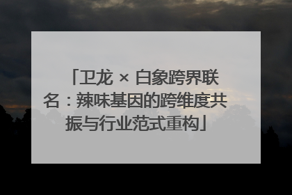 卫龙 × 白象跨界联名：辣味基因的跨维度共振与行业范式重构