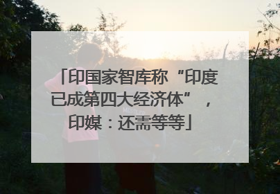 印国家智库称“印度已成第四大经济体”，印媒：还需等等