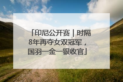 印尼公开赛｜时隔8年再夺女双冠军，国羽一金一银收官