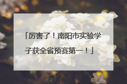 厉害了！南阳市实验学子获全省预赛第一！