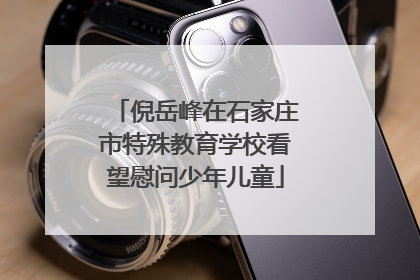 倪岳峰在石家庄市特殊教育学校看望慰问少年儿童