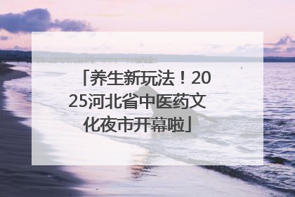 养生新玩法！2025河北省中医药文化夜市开幕啦