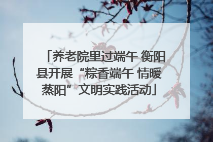 养老院里过端午 衡阳县开展“粽香端午 情暖蒸阳”文明实践活动