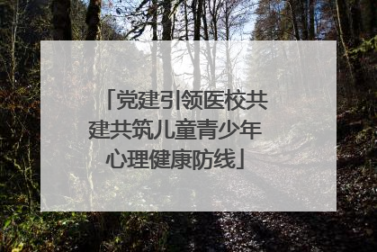 党建引领医校共建共筑儿童青少年心理健康防线