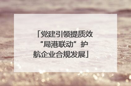 党建引领提质效 “局港联动”护航企业合规发展