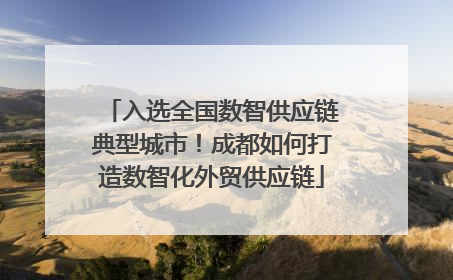 入选全国数智供应链典型城市！成都如何打造数智化外贸供应链