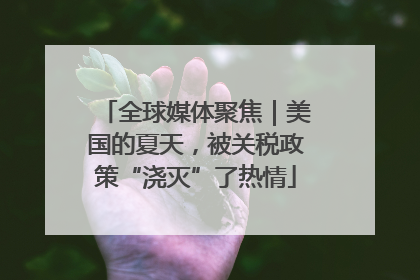 全球媒体聚焦｜美国的夏天，被关税政策“浇灭”了热情