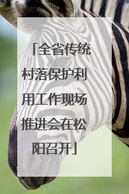 全省传统村落保护利用工作现场推进会在松阳召开