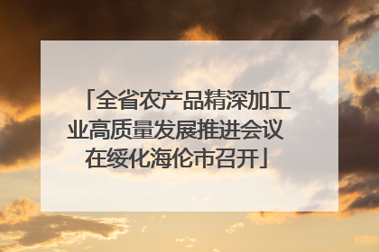 全省农产品精深加工业高质量发展推进会议在绥化海伦市召开