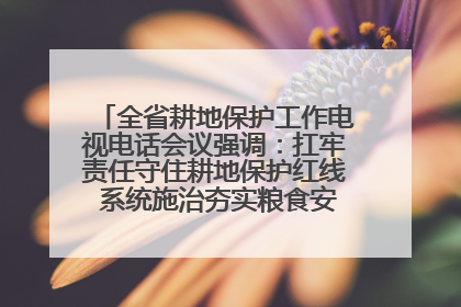 全省耕地保护工作电视电话会议强调：扛牢责任守住耕地保护红线 系统施治夯实粮食安全根基 王宁作出批示 王予波出席并讲话