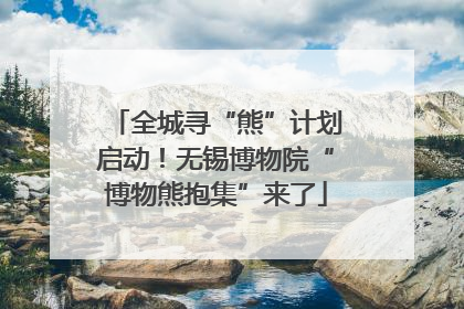 全城寻“熊”计划启动！无锡博物院“博物熊抱集”来了