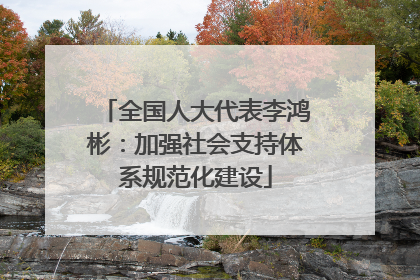 全国人大代表李鸿彬：加强社会支持体系规范化建设