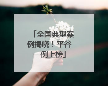 全国典型案例揭晓！平谷一例上榜