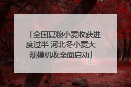 全国夏粮小麦收获进度过半 河北冬小麦大规模机收全面启动