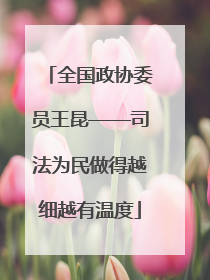 全国政协委员王昆——司法为民做得越细越有温度