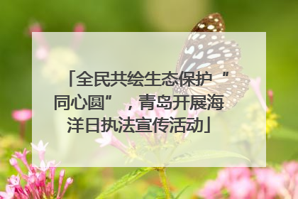 全民共绘生态保护“同心圆”，青岛开展海洋日执法宣传活动