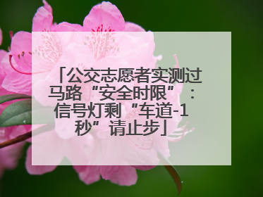 公交志愿者实测过马路“安全时限”：信号灯剩“车道-1秒”请止步
