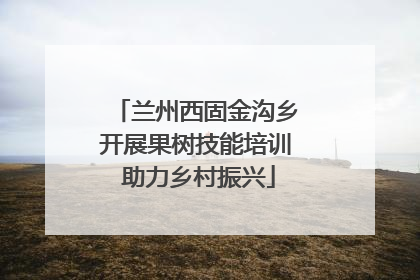 兰州西固金沟乡开展果树技能培训 助力乡村振兴