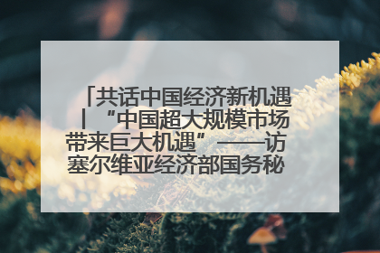 共话中国经济新机遇丨“中国超大规模市场带来巨大机遇”——访塞尔维亚经济部国务秘书尼科利奇