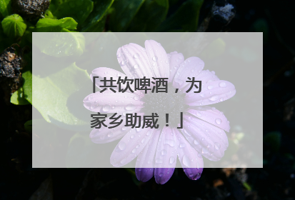 共饮啤酒，为家乡助威！