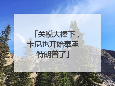 关税大棒下，卡尼也开始奉承特朗普了