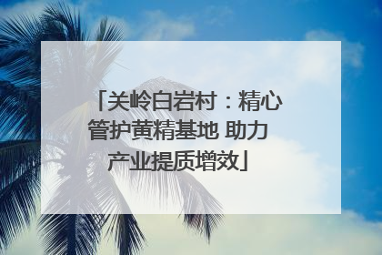 关岭白岩村：精心管护黄精基地 助力产业提质增效