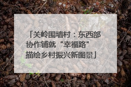关岭围墙村：东西部协作铺就“幸福路” 描绘乡村振兴新图景