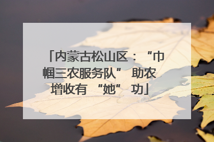 内蒙古松山区：“巾帼三农服务队” 助农增收有 “她” 功