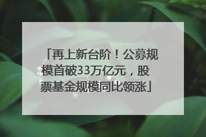 再上新台阶！公募规模首破33万亿元，股票基金规模同比领涨