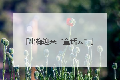 出梅迎来“童话云”
