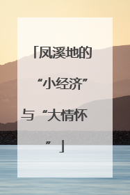 凤溪地的“小经济”与“大情怀”