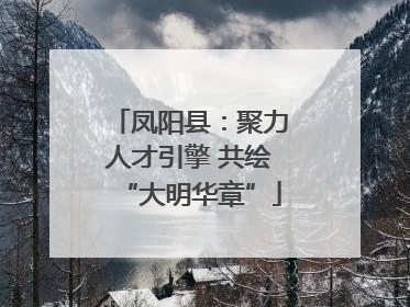 凤阳县：聚力人才引擎 共绘“大明华章”