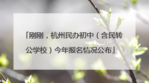 刚刚，杭州民办初中（含民转公学校）今年报名情况公布