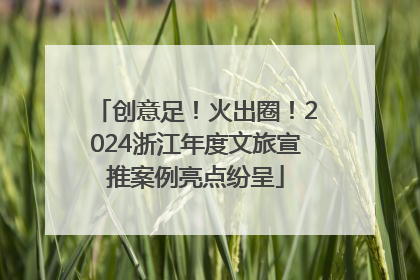 创意足！火出圈！2024浙江年度文旅宣推案例亮点纷呈