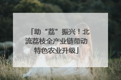 助“荔”振兴！北流荔枝全产业链带动特色农业升级