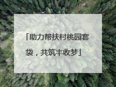 助力帮扶村桃园套袋，共筑丰收梦