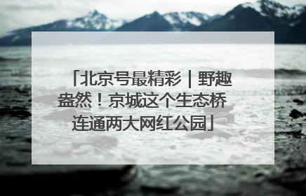 北京号最精彩｜野趣盎然！京城这个生态桥连通两大网红公园
