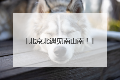 北京北遇见南山南！