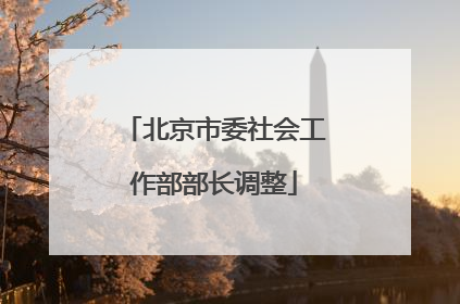 北京市委社会工作部部长调整