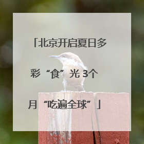 北京开启夏日多彩“食”光 3个月“吃遍全球”