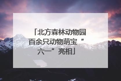 北方森林动物园百余只动物萌宝“六一”亮相