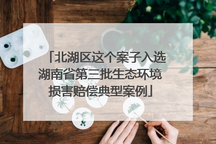 北湖区这个案子入选湖南省第三批生态环境损害赔偿典型案例